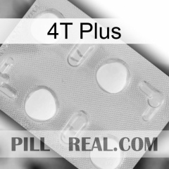 4T Plus 24